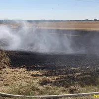 symbolbild_brand_freiflache.jpg