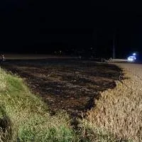 2017-08-06_brand_stoppelfeld_7.jpg