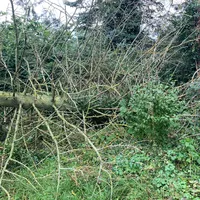2020-07-28_unwetter_17.jpg
